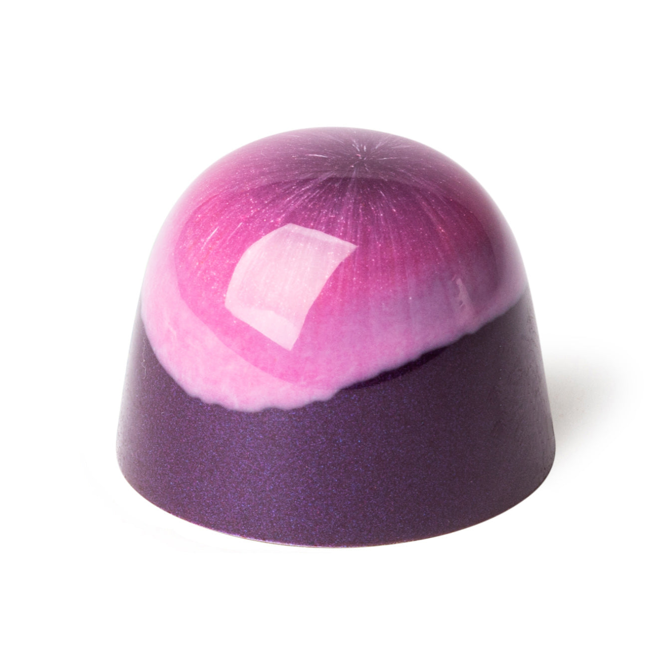 CassisVioletS_ONYX.jpg__PID:6868eaea-2954-49e7-825e-ea0463f391f2